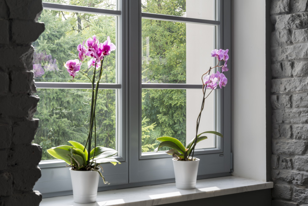 Holzfenster 3-fach verglast